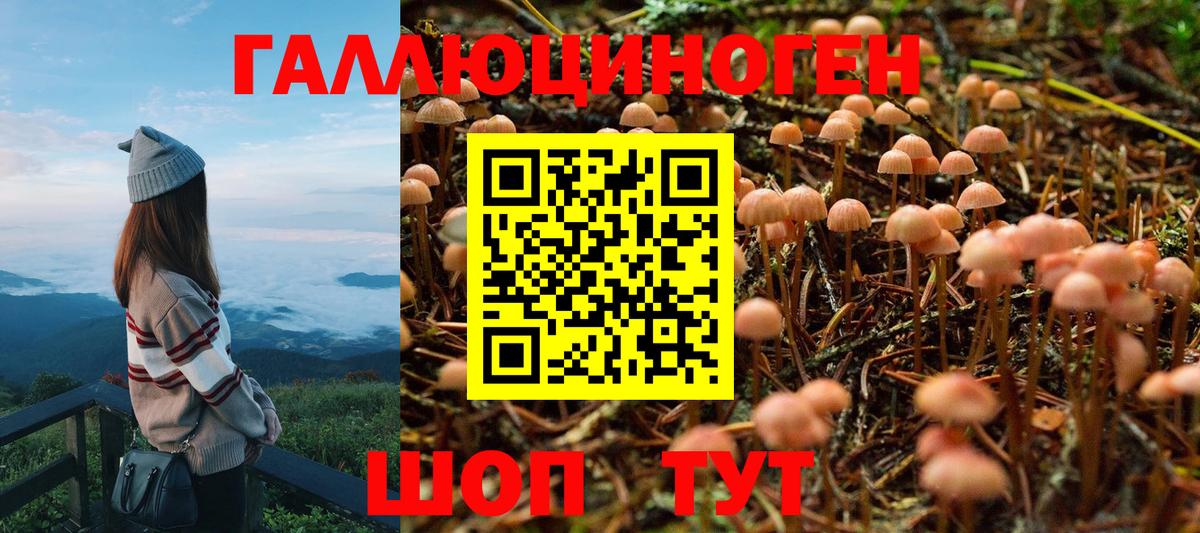 Псилоцибиновые грибы мухоморы Мценск