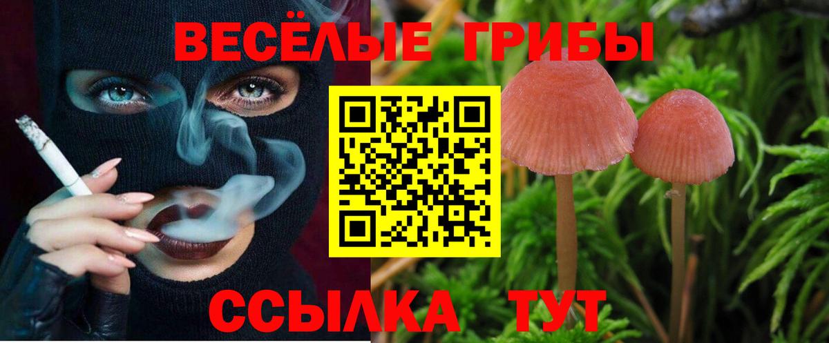 Мценск  закладки  Галлюциногенные грибы Psilocybe  Вход с VPN  Псилоцибиновые грибы мицелий 